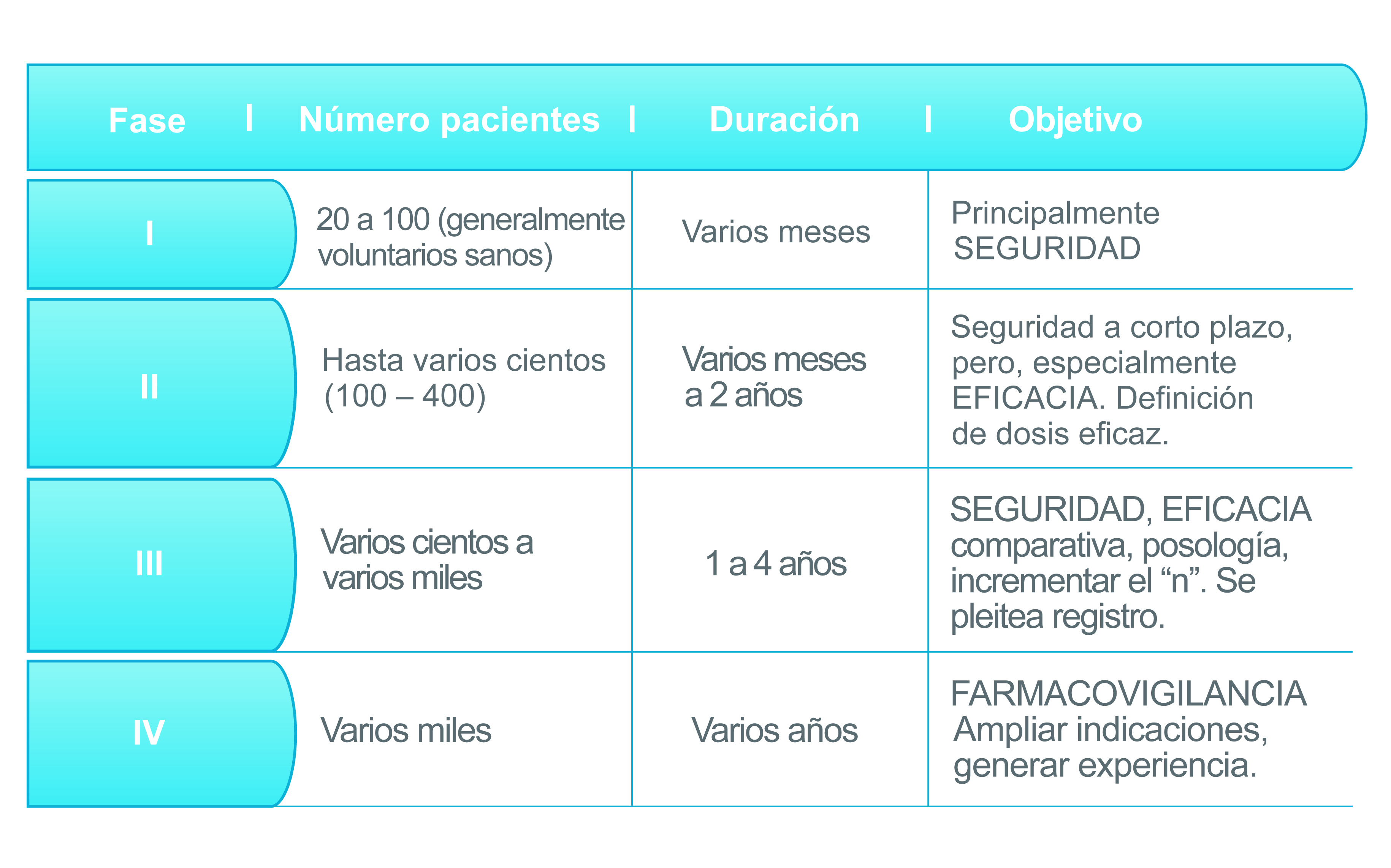 Fases
